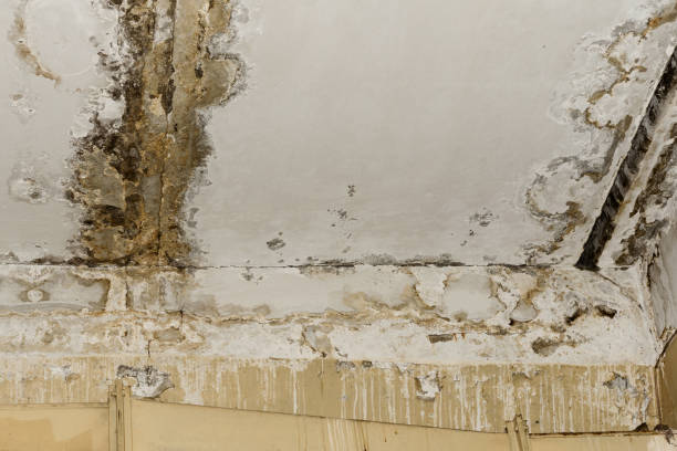 Local water damage restoration in Highland, MD